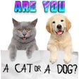 Icon of program: Test what cat or dog am I…