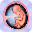 程序图标：Pregnancy tips Week by we…