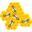 Ikon program: Beekeeping