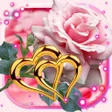 程序图标：Roses Hearts HD live wall…