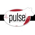 أيقونة البرنامج: ThePulse - Sullivan Suppl…