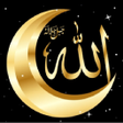 Ikon program: Allah & Crescent Live Wal…