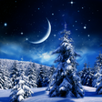 程序图标：Winter Night Wallpaper
