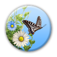 Ícone do programa: Butterfly