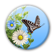 Programikon: Butterfly