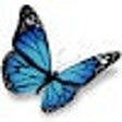 Icon of program: Butterfly