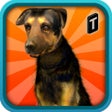 Ícone do programa: Street Dog Simulator 3D