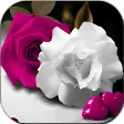 Flowers And Roses Animated Images Gif 4K HD