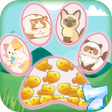 Icoon van programma: Kitty Sort Match Game