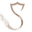 Icon of program: SandVPN - Free, Fast, Unl…