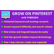 Pinterest Ranking/Keyword Tool - Pindodo
