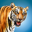 プログラムのアイコン：Wild Tiger Hunting Animal…