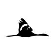 Icoon van programma: Bird Finder