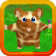 程序图标：Hamster Dash: 3D Run