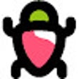 Icon of program: External script loader