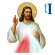 程序图标：Chaplet of Divine Mercy w…