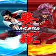 程序图标：Vasara Collection