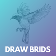 Biểu tượng của chương trình: How to draw birds step by…