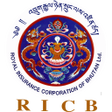 程序图标: MyRICB