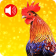 Icon of program: Loud Animal Ringtones An…