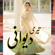 程序图标：Teri Deewani - Urdu Roman…