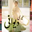 Teri Deewani - Urdu Romantic