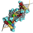 Icon of program: Molecular genetics
