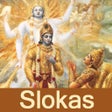 プログラムのアイコン：Bhagavad Gita sloka Recit…