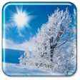 Winter. Live Wallpapers