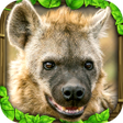 プログラムのアイコン：Hyena Simulator