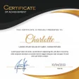 Ikon program: Professional Certificate …