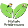 Icon of program: Plants for U