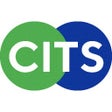 Icon of program: Cognizant Intelligent Tes…