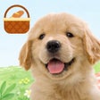 أيقونة البرنامج: わんこと私 - 子犬のペット育成ゲーム