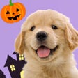 Ikona programu: わんこと私 - 子犬のペット育成ゲーム