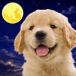 Ikona programu: わんこと私 - 子犬のペット育成ゲーム