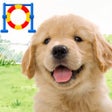 Ikon program: わんこと私 - 子犬のペット育成ゲーム
