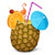 Icon of program: Planapple Save Button
