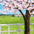 Icon of program: StarHorsePocket　競馬ゲーム