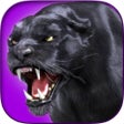 Ikona programu: Black Panther Hunter - Wi…