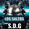 プログラムのアイコン：Los Saltos SDG