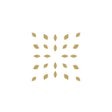 程序图标：Omstars Yoga  Meditation