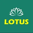 Icon of program: Lotus cricket 365
