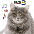 プログラムのアイコン：Cat Ringtones Vol3