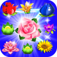 Ikon program: Flower Sweet Blast – Matc…