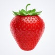 أيقونة البرنامج: Fruit Link 2.0