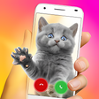 Nifty Caller - Call Screen Themes icon