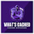 ไอคอนของโปรแกรม: whats-cached-browser-exte…