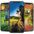 Country Wallpaper icon