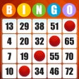 أيقونة البرنامج: Absolute Bingo Play Fun G…